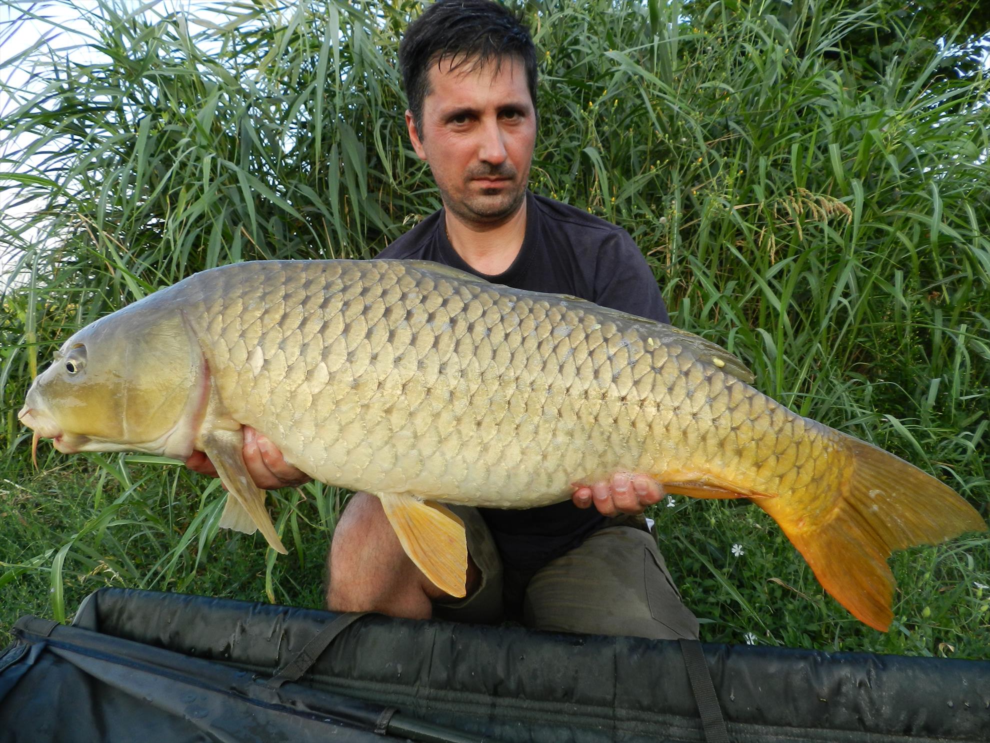 2015/iulie capturi - dscn4013.JPG